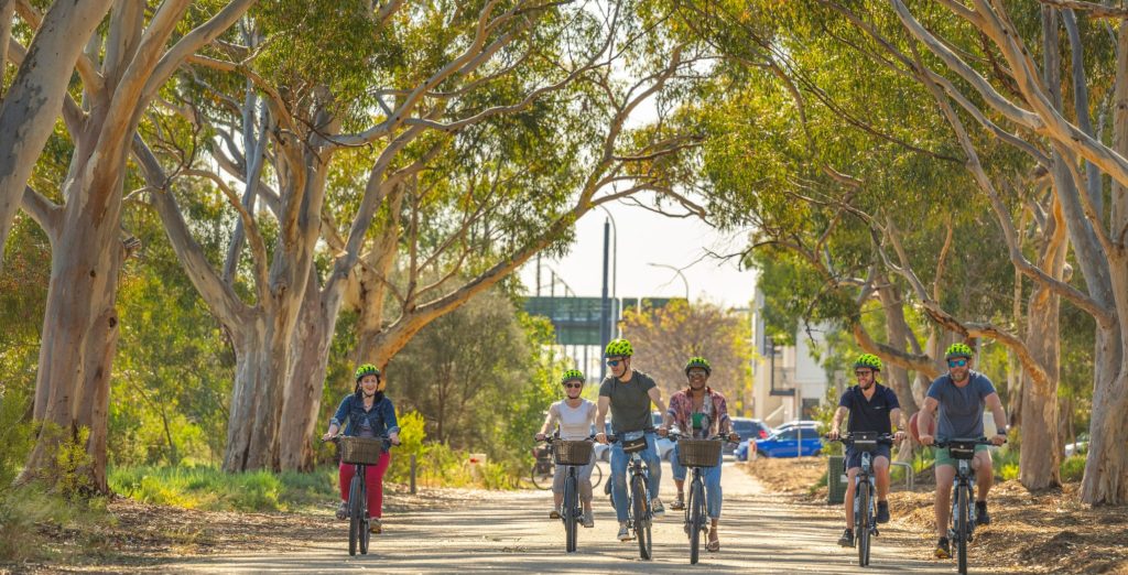 Adealide City eBike Scenic Tour